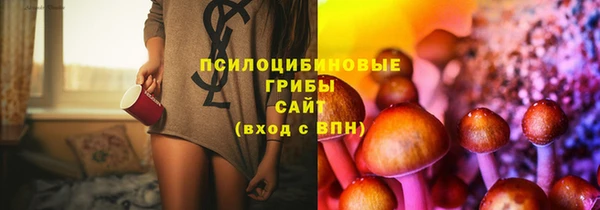 метадон Каменногорск