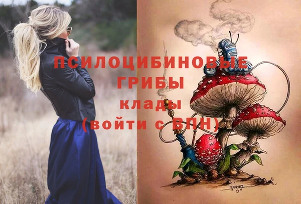 кокс Аркадак