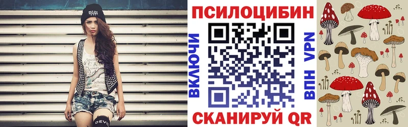 наркотики  Сусуман  Псилоцибиновые грибы мицелий 